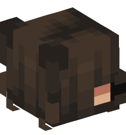 Minecraft head — People