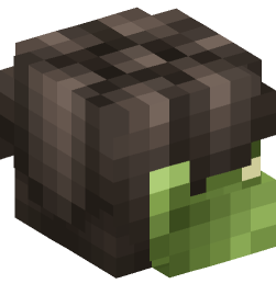 Minecraft head — Creatures