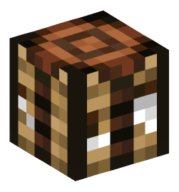 Minecraft head — Decor