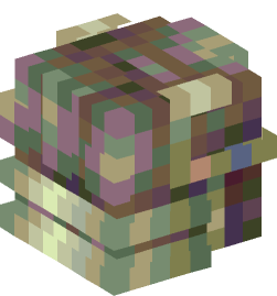 Minecraft head — People