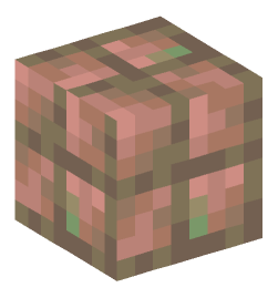 Minecraft head — Blocks