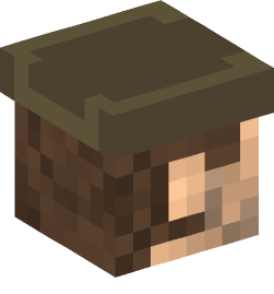 Minecraft head — People