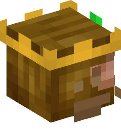 Minecraft head — People