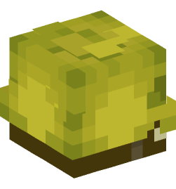 Minecraft head — Creatures