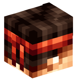 Minecraft head — People