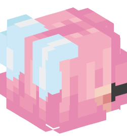 Minecraft head — People