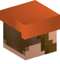 Minecraft head — People