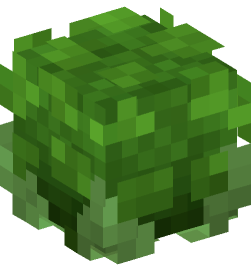 Minecraft head — Plants