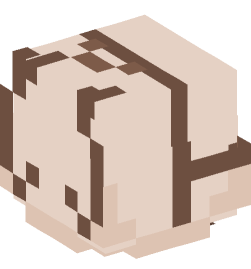 Minecraft head — Decor