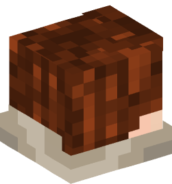 Minecraft head — People