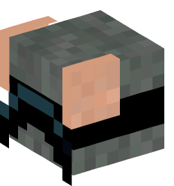 Minecraft head — Animals