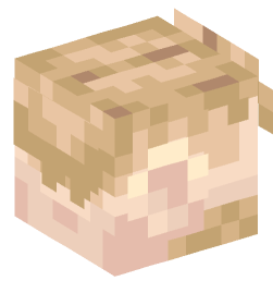 Minecraft head — People