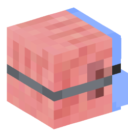 Minecraft head — Animals