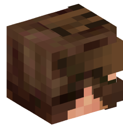 Minecraft head — People