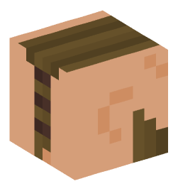 Minecraft head — People