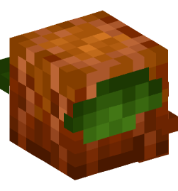 Minecraft head — Decor