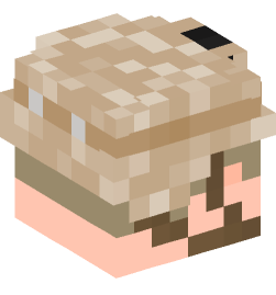 Minecraft head — People