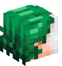 Minecraft head — People