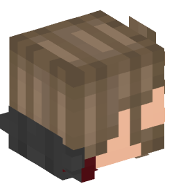 Minecraft head — People