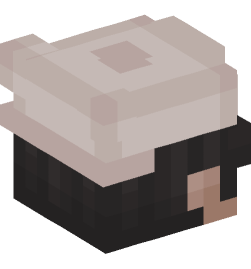 Minecraft head — People