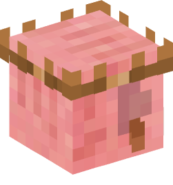 Minecraft head — Animals