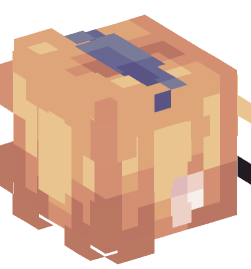 Minecraft head — People