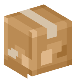 Minecraft head — Decor