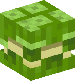 Minecraft head — Monsters