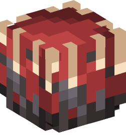 Minecraft head — Decor