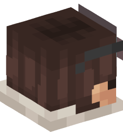 Minecraft head — People