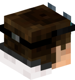 Minecraft head — People