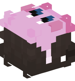 Minecraft head — People