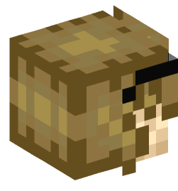 Minecraft head — People