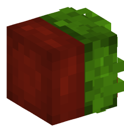 Minecraft head — Decor