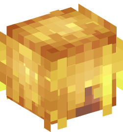 Minecraft head — People