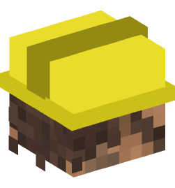 Minecraft head — People