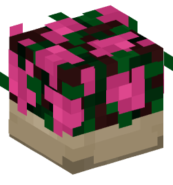 Minecraft head — Decor