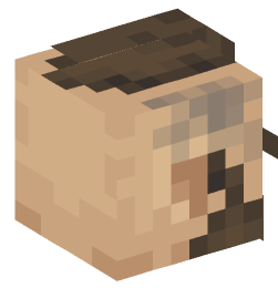 Minecraft head — People