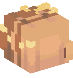 Minecraft head — People