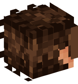 Minecraft head — People