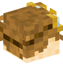 Minecraft head — People