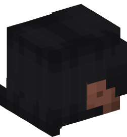 Minecraft head — People