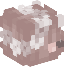 Minecraft head — Creatures