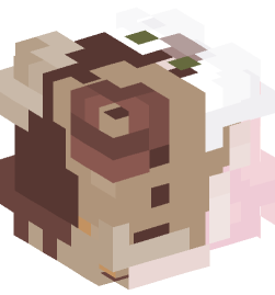 Minecraft head — People