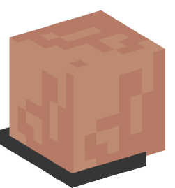 Minecraft head — Creatures