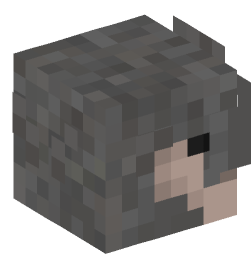 Minecraft head — People