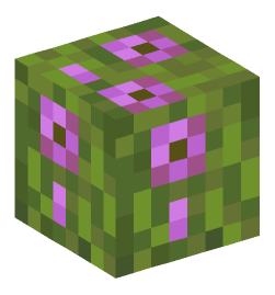 Minecraft head — Plants