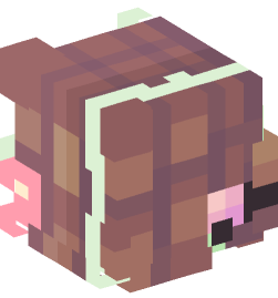 Minecraft head — People