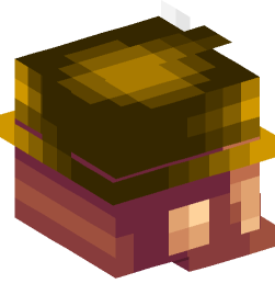 Minecraft head — People