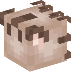 Minecraft head — Creatures